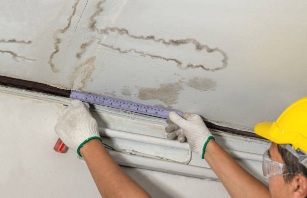 Reliable Mold Remediation contractor in S Coffeyville, OK by Water Damage Irwin
